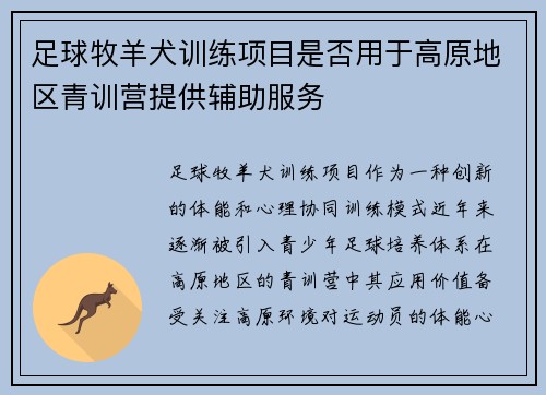 足球牧羊犬训练项目是否用于高原地区青训营提供辅助服务